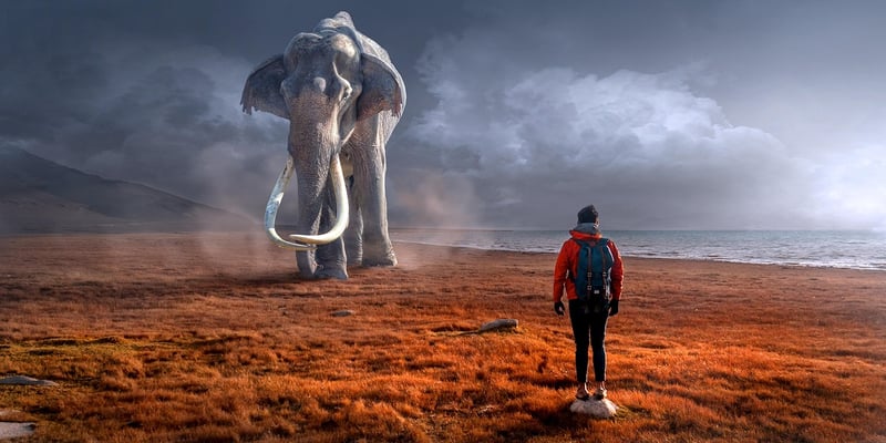 Mythical creature encounters