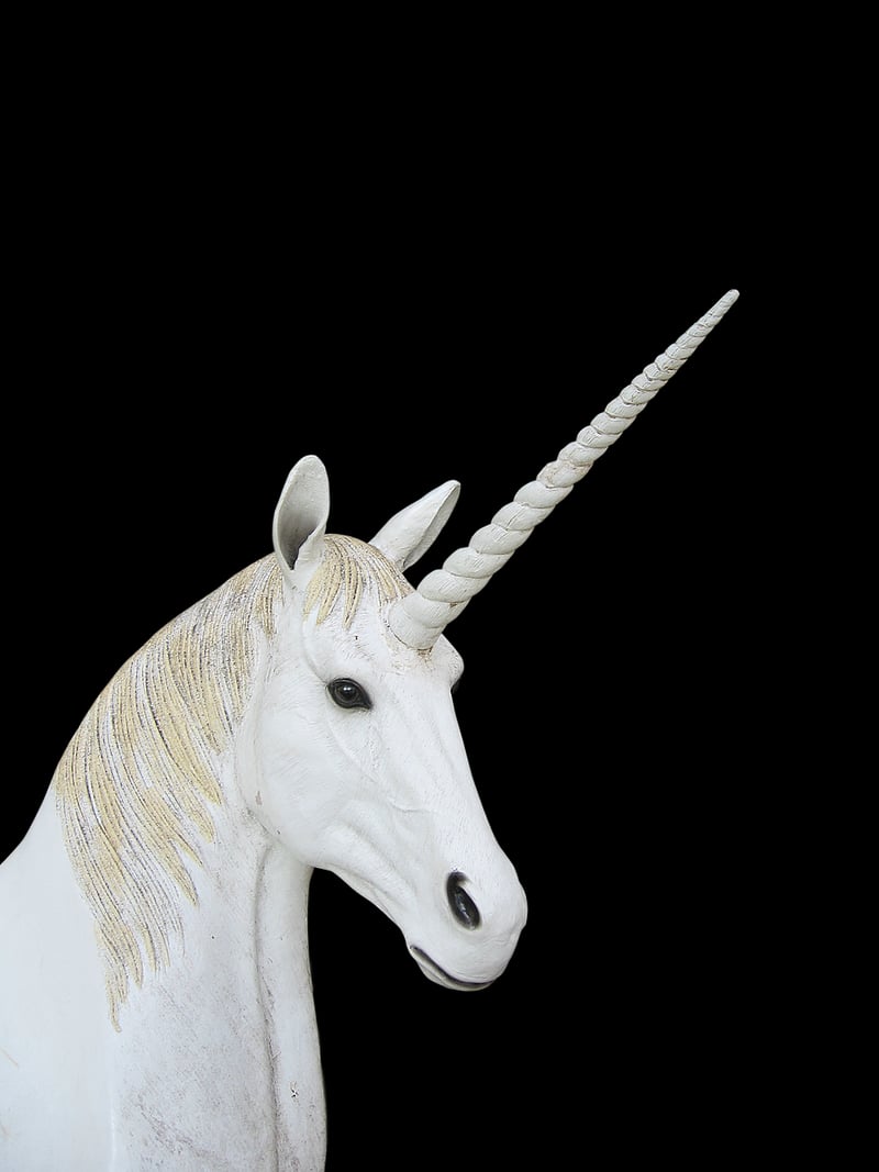 Unicorn-approved flowers